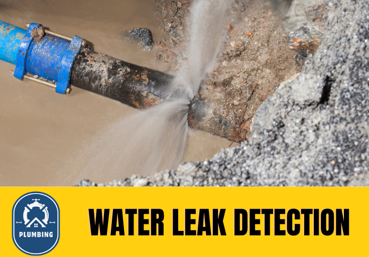 leak detection Meopham 